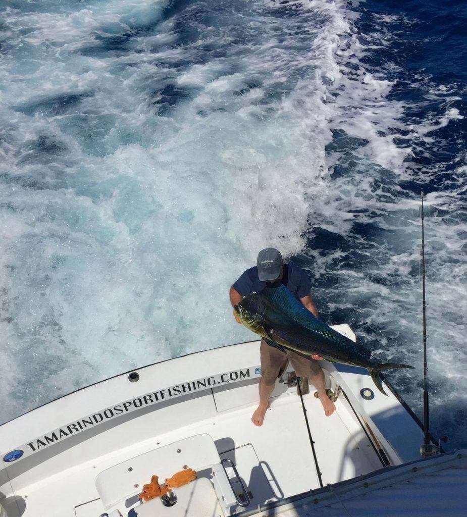 Talking Fish Tamarindo half day charter dorado