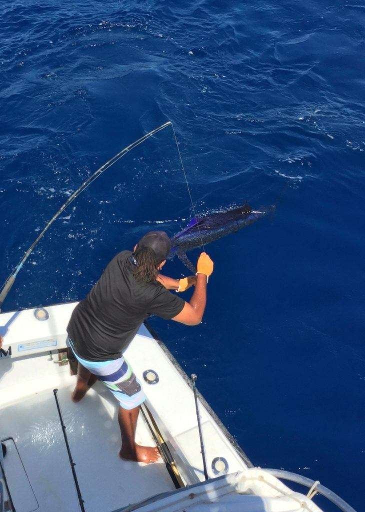 Talking Fish Tamarindo half day charter sailfish