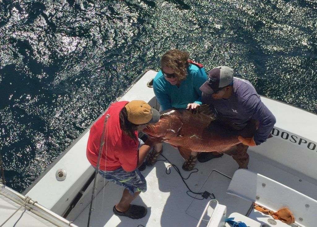Talking Fish Tamarindo half day charter snapper
