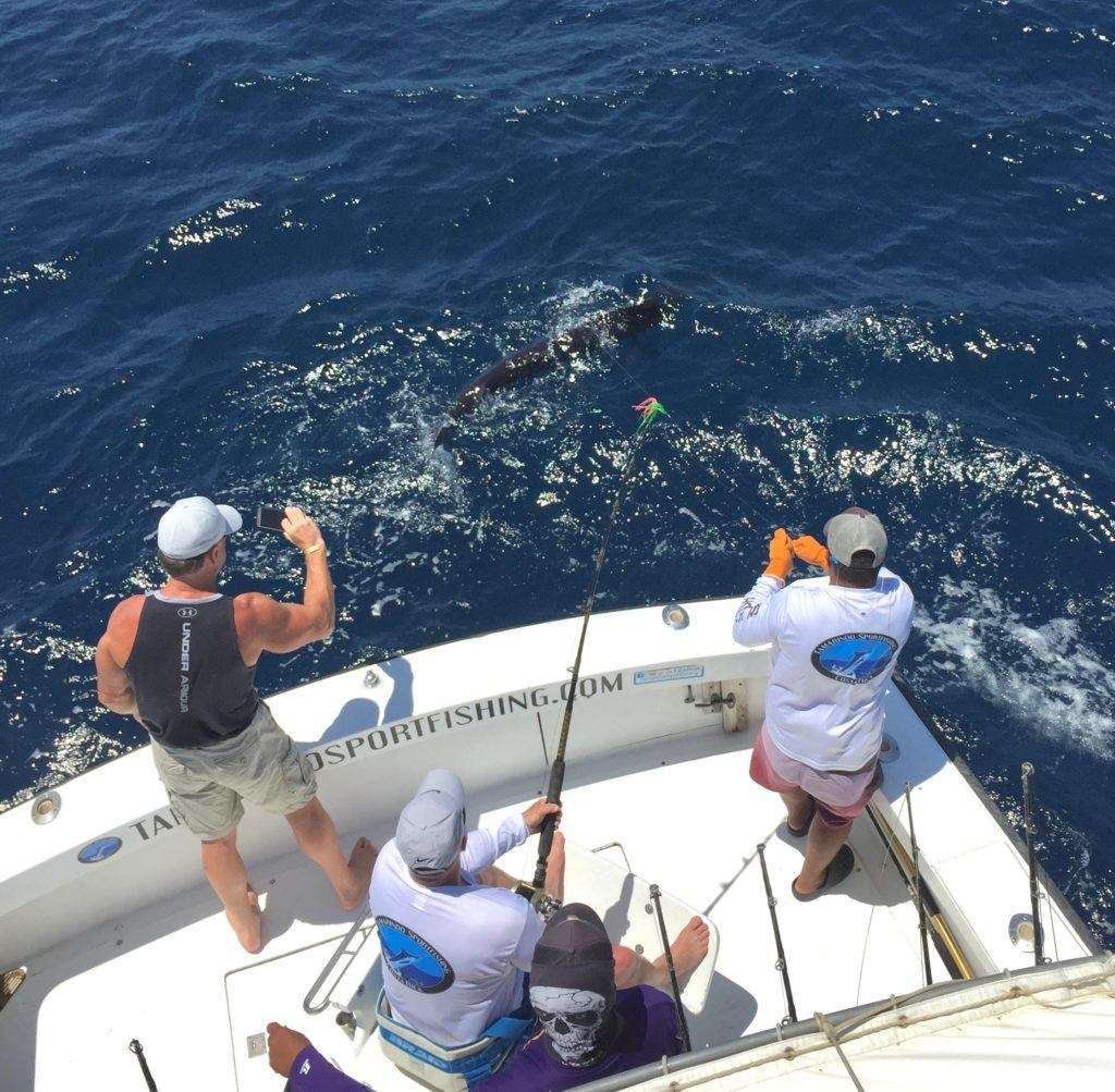 Talking Fish Tamarindo full day charter striped marlin