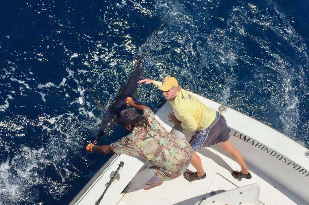 Talking Fish Tamarindo 3/4 day charter blue marlin