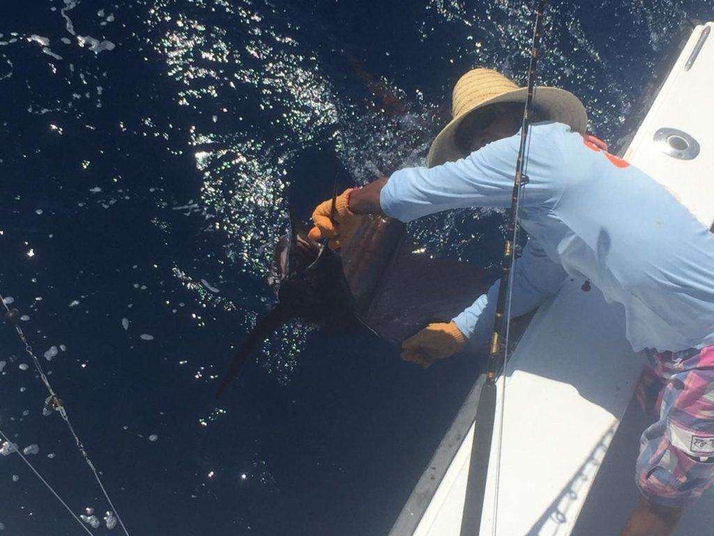 Capullo Tamarindo full day charter sailfish