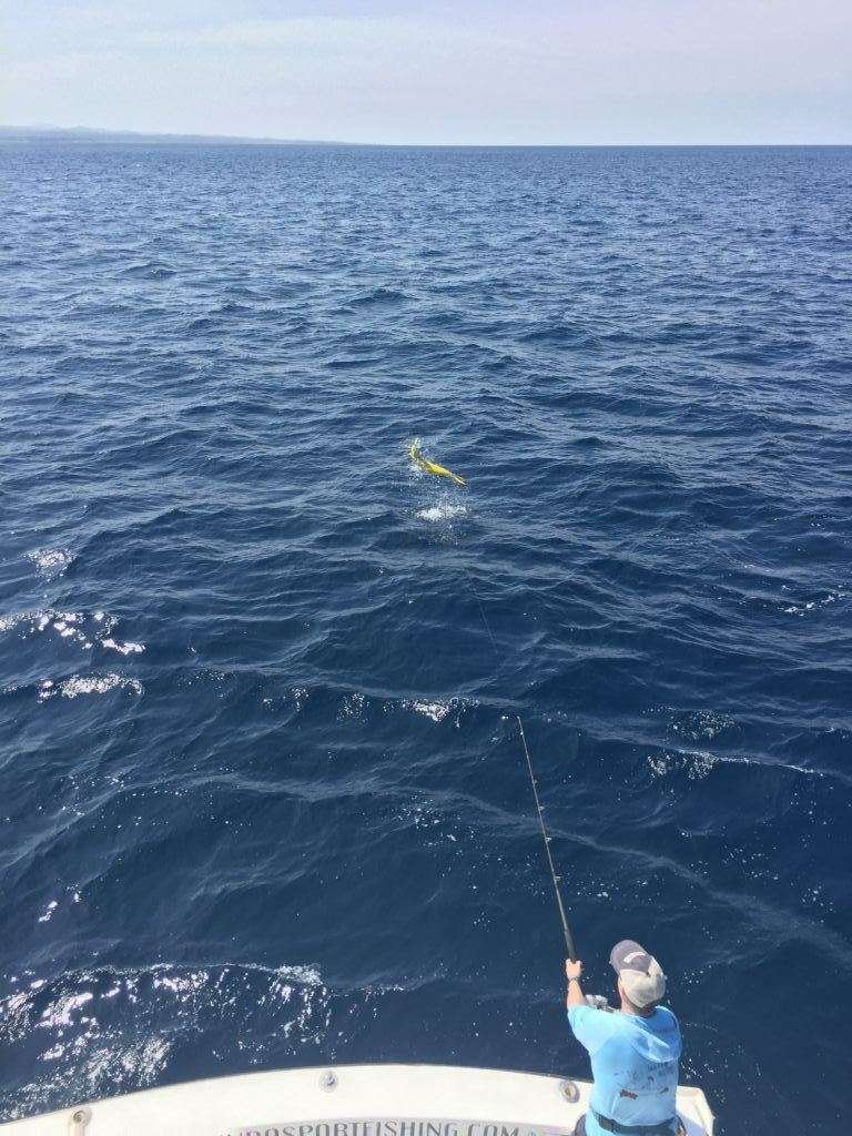 Talking Fish Tamarindo 3/4 day charter dorado