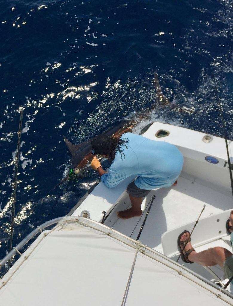 Talking Fish Tamarindo full day charter blue marlin