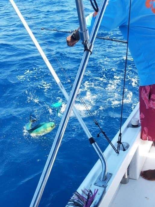 Rainbow Runner Tamarindo full day charter dorado