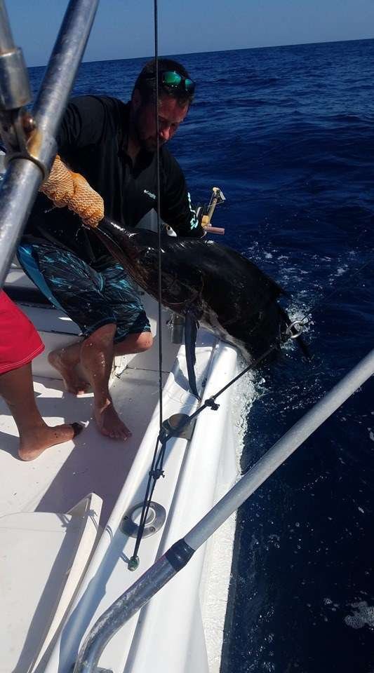 Rainbow Runner Tamarindo full day charter sailfish