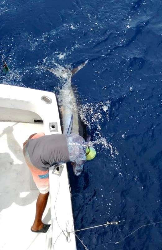 Outcast Tamarindo full day charter blue marlin