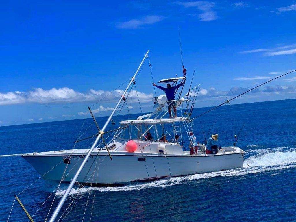 Capullo Tamarindo half day charter 