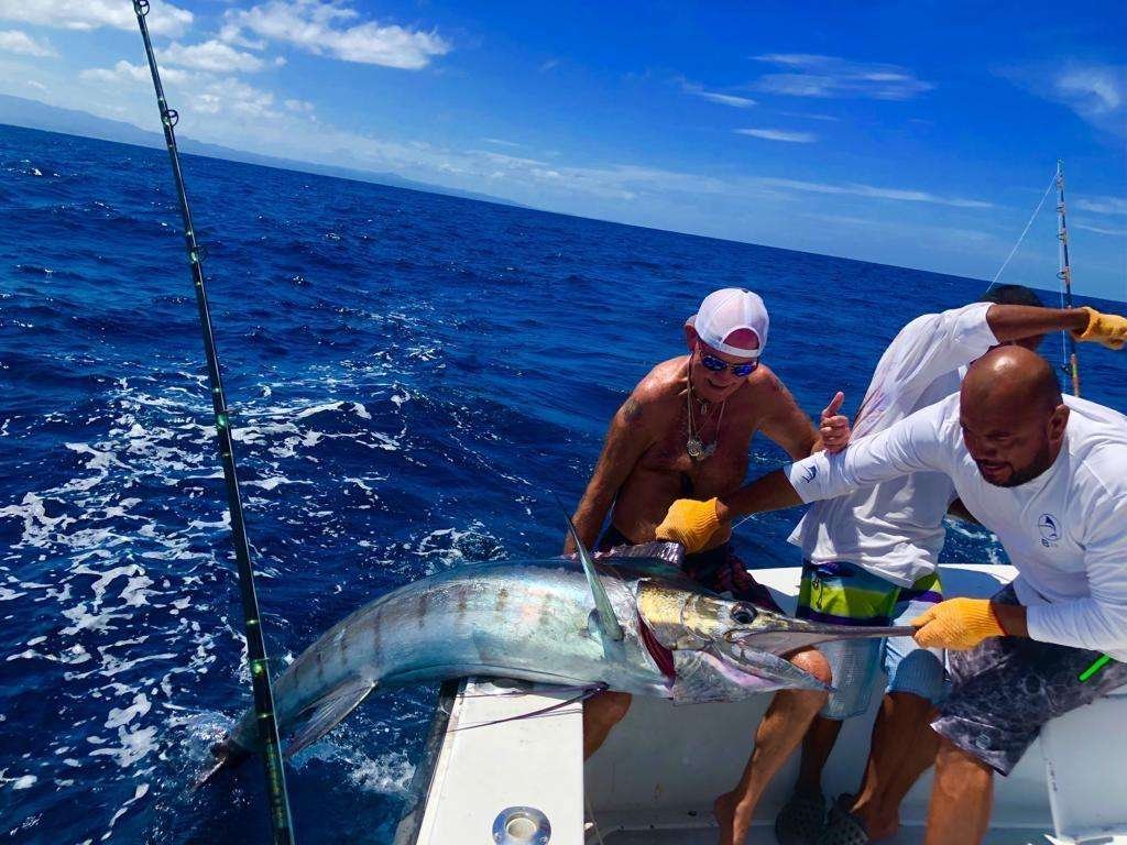 Capullo Tamarindo half day charter blue marlin