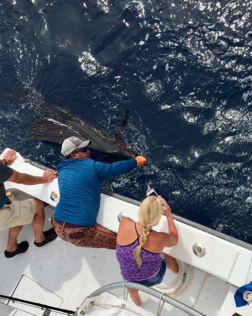 Talking Fish full day Tamarindo charter sailfish