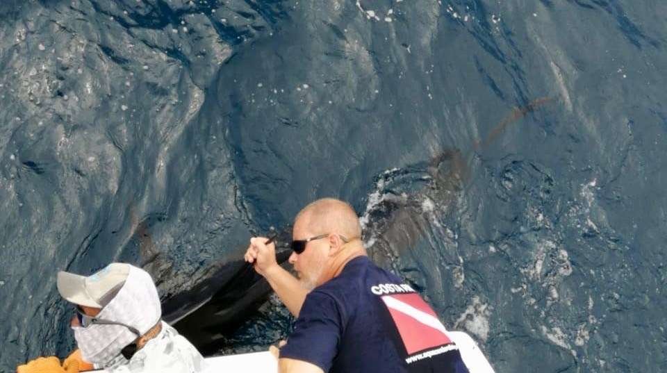 Outcast Tamarindo full day charter cubera marlin