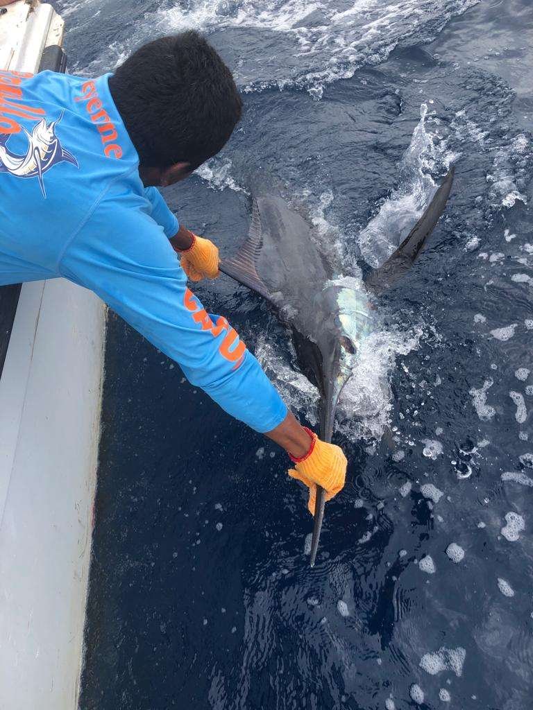 Capullo Tamarindo full day charter blue marlin