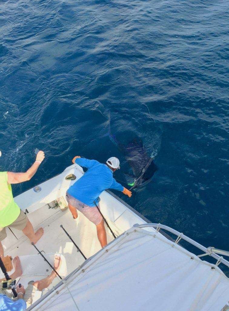 Talking Fish Tamarindo full day charter sailfish