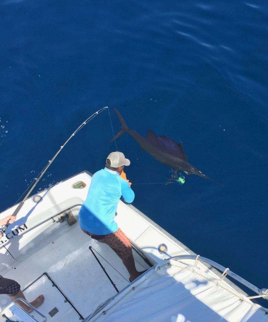 Talking Fish Tamarindo full day charter sailfish