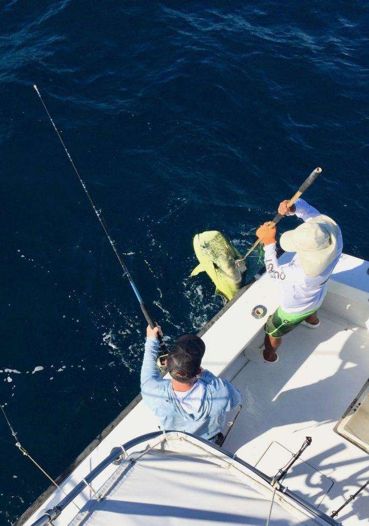 Talking Fish Tamarindo full day charter dorado