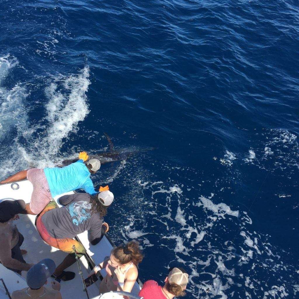 Talking Fish Tamarindo full day charter blue marlin