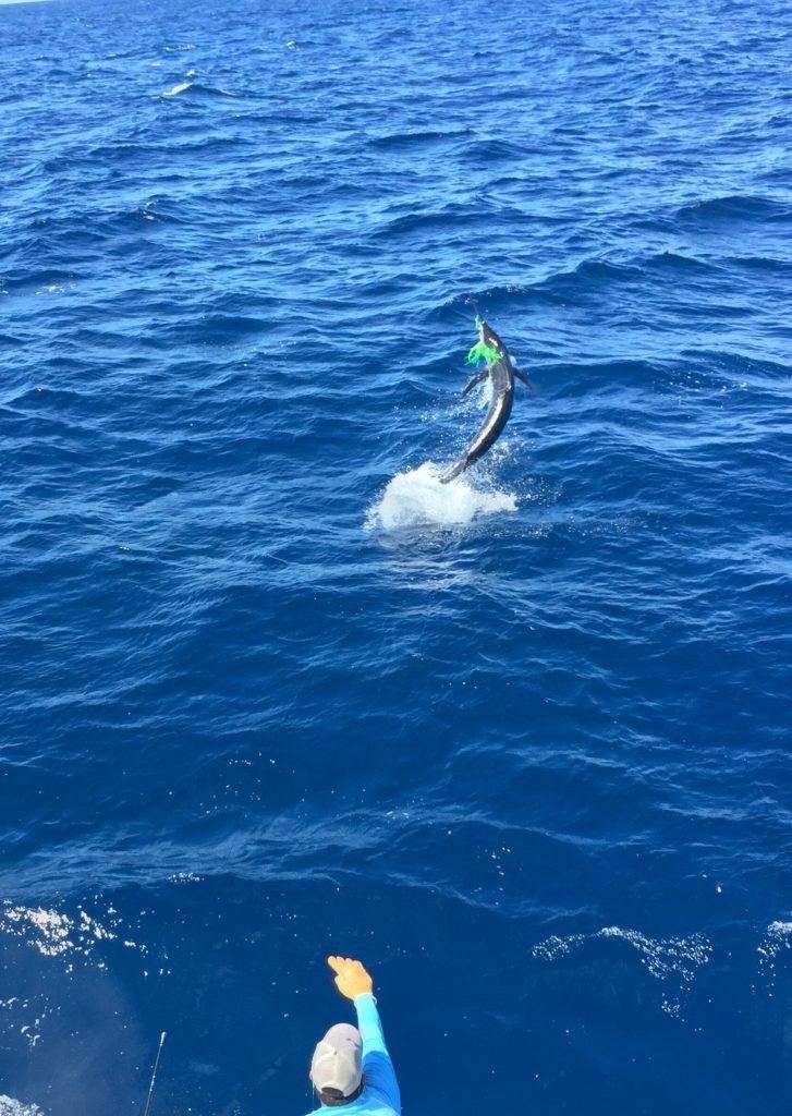 Talking Fish Tamarindo full day charter blue marlin