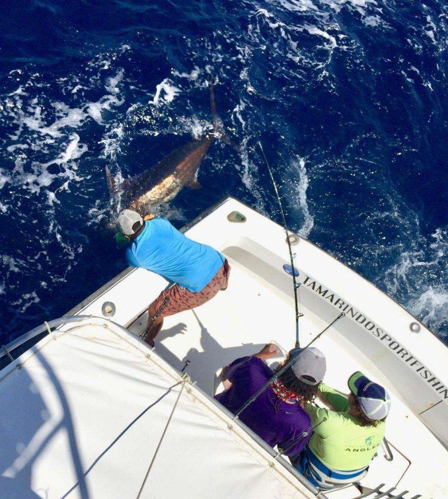 Talking Fish Tamarindo full day charter blue marlin
