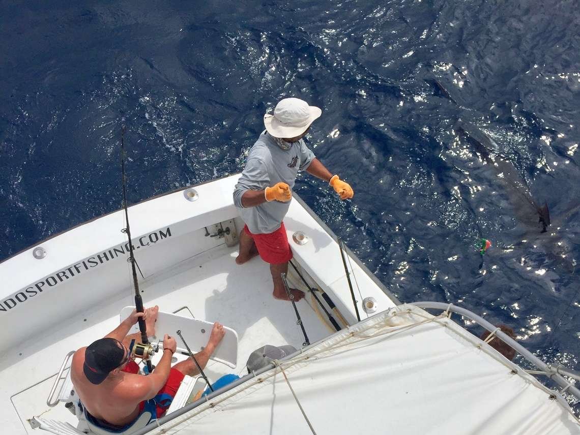 Talking Fish Tamarindo full day charter blue marlin