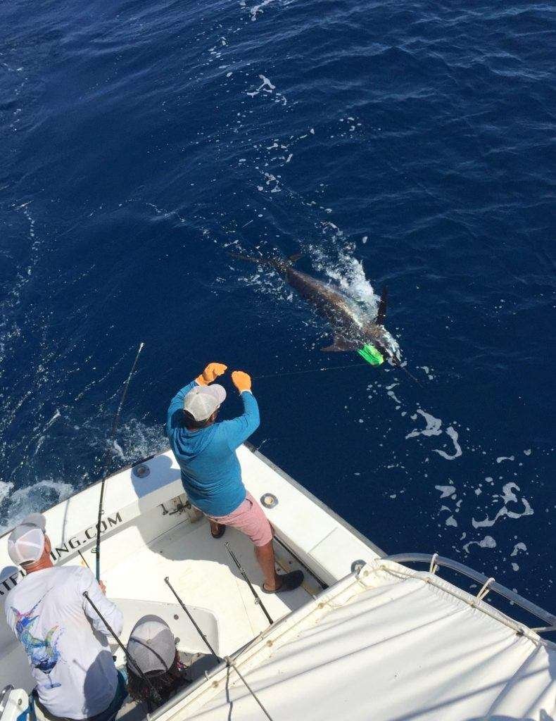 Talking Fish Tamarindo full day charter blue marlin
