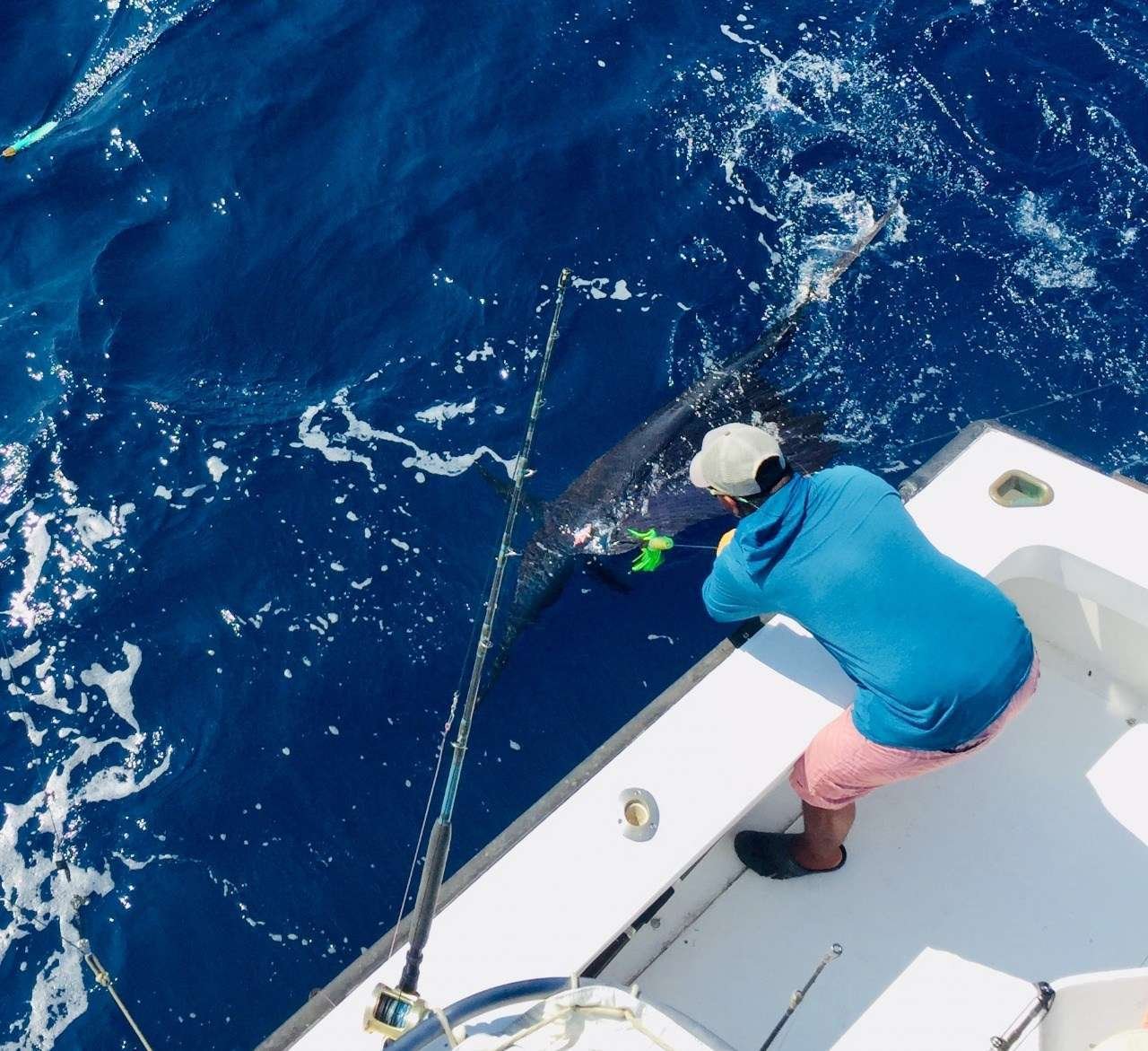 Talking Fish Tamarindo full day charter sailfish