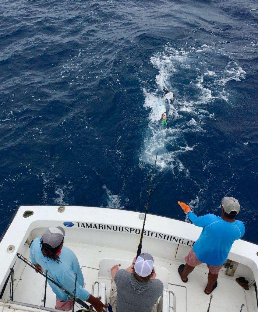 Talking Fish Tamarindo full day charter sailfish