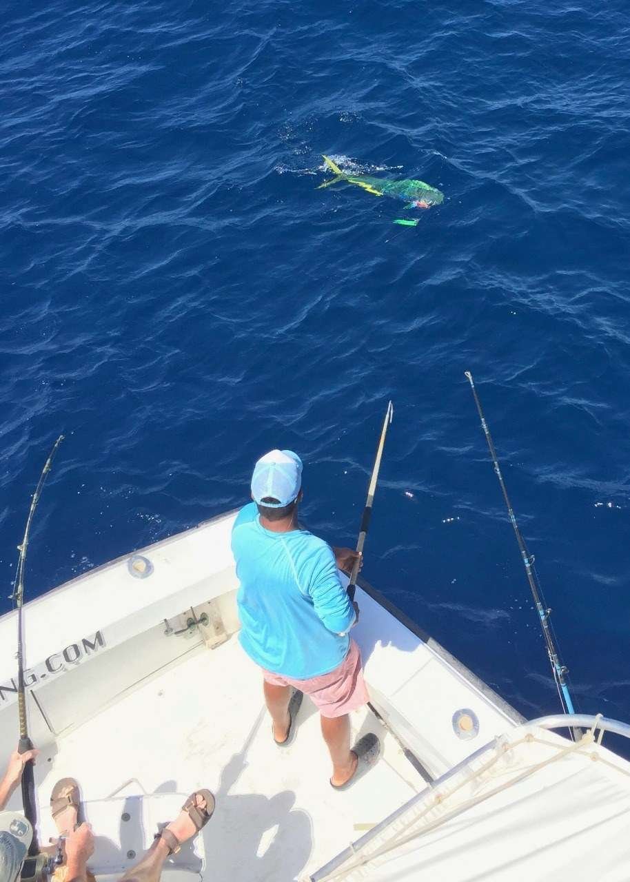 Talking Fish Tamarindo full day charter dorado
