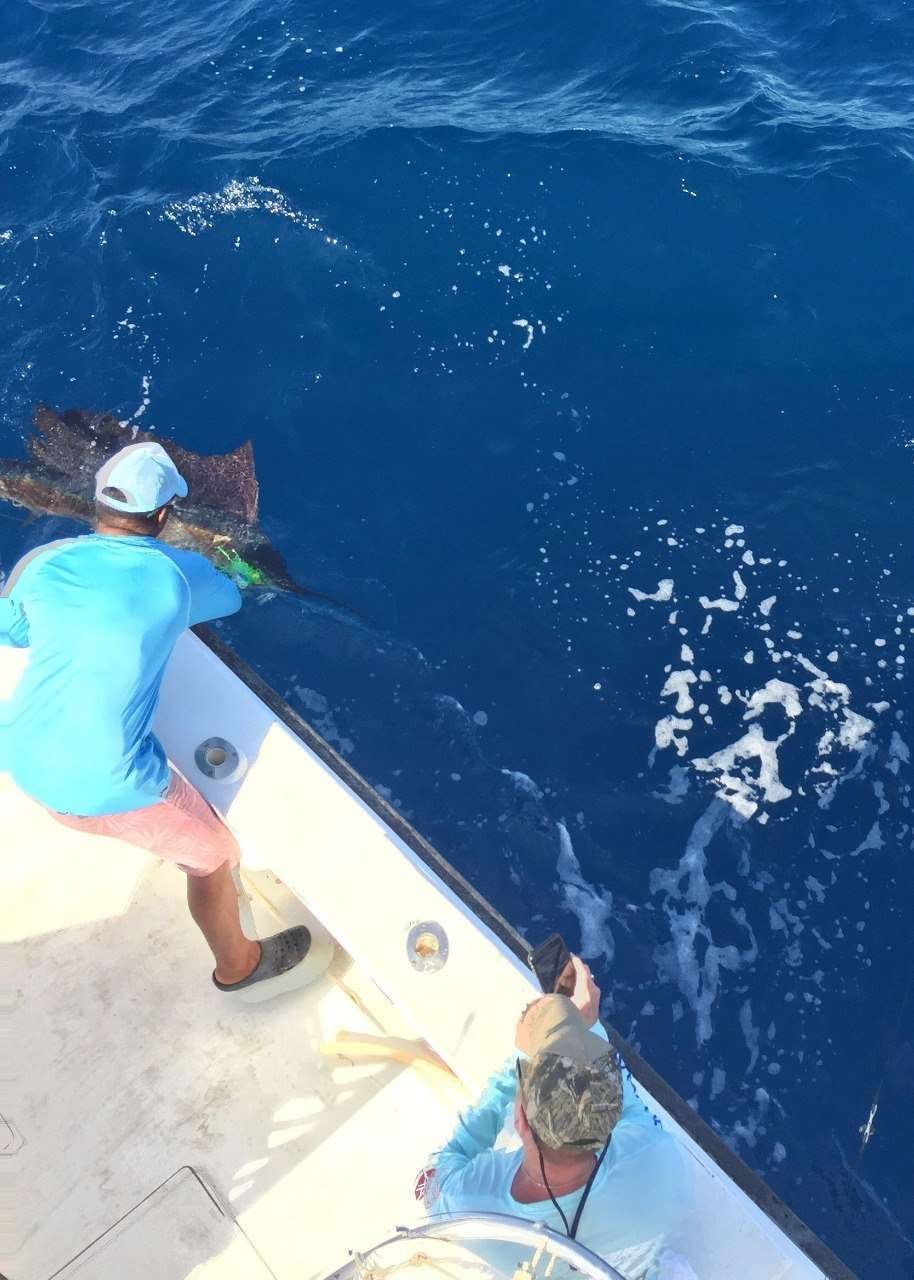Talking Fish Tamarindo full day charter sailfish