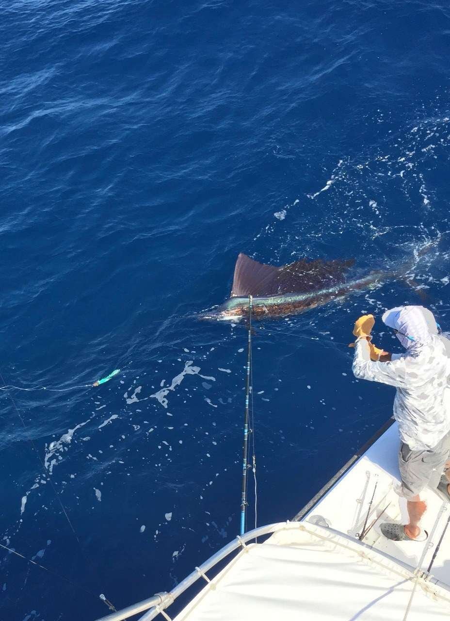 Talking Fish Tamarindo full day charter sailfish