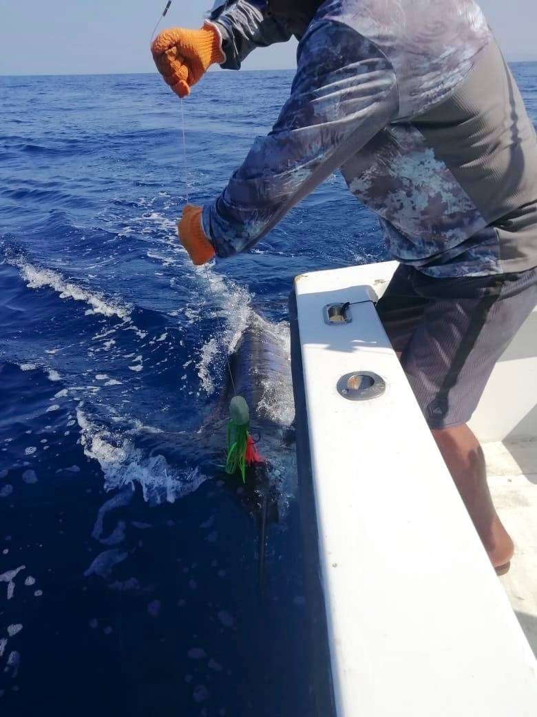 Salsa Tamarindo full day charter blue marlin