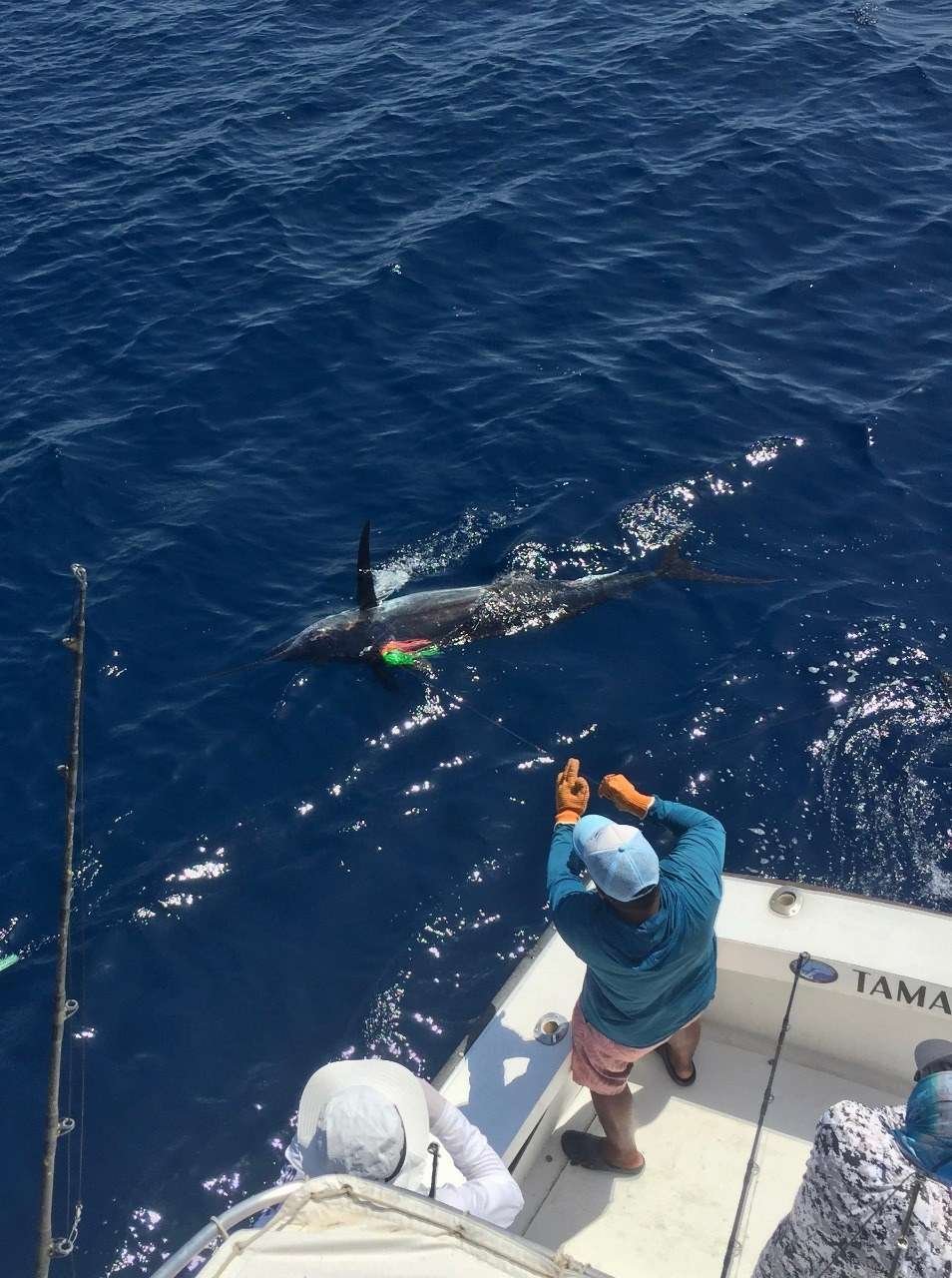 Talking Fish Tamarindo full day charter sailfish
