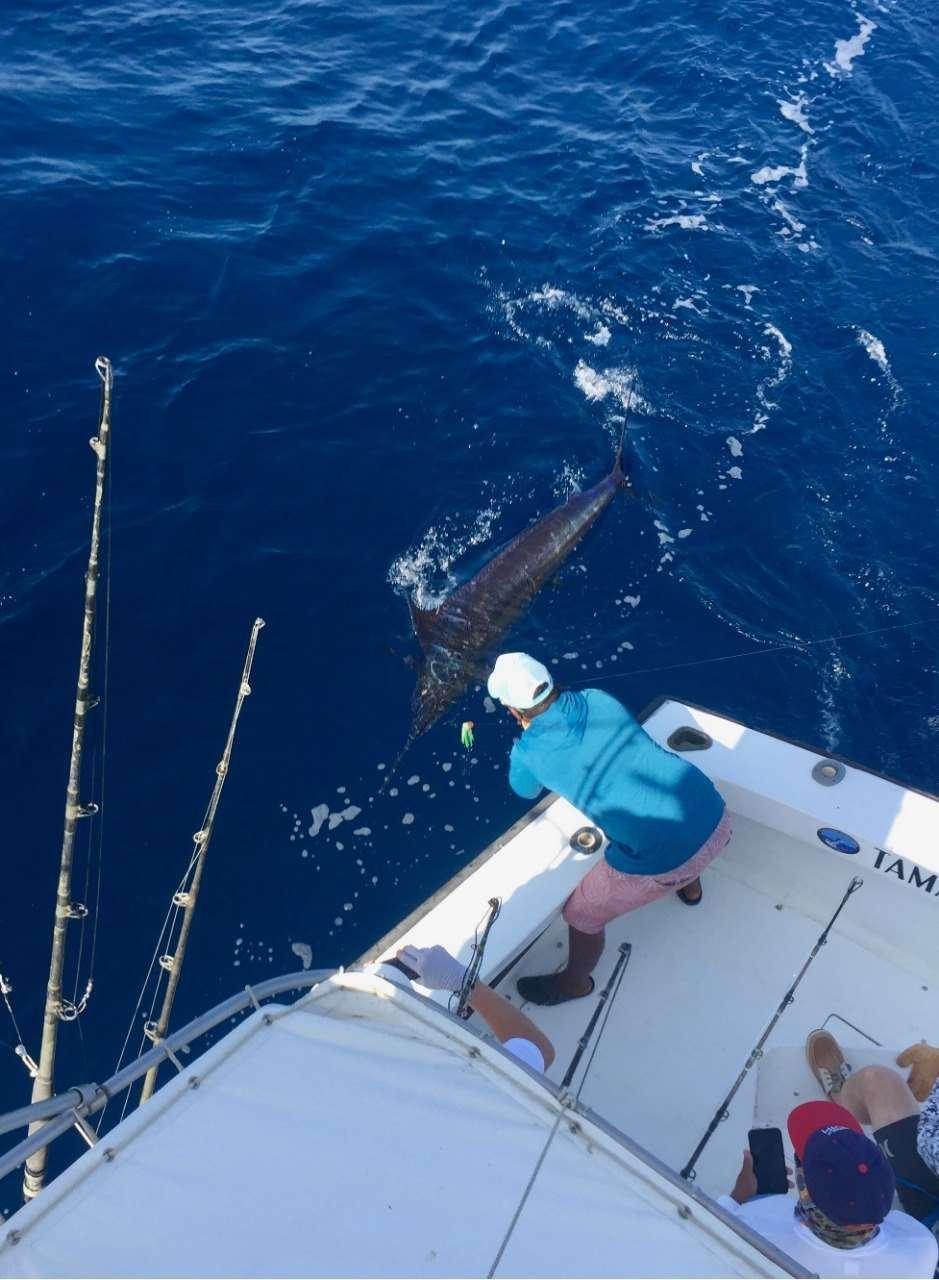 Talking Fish Tamarindo full day charter blue marlin