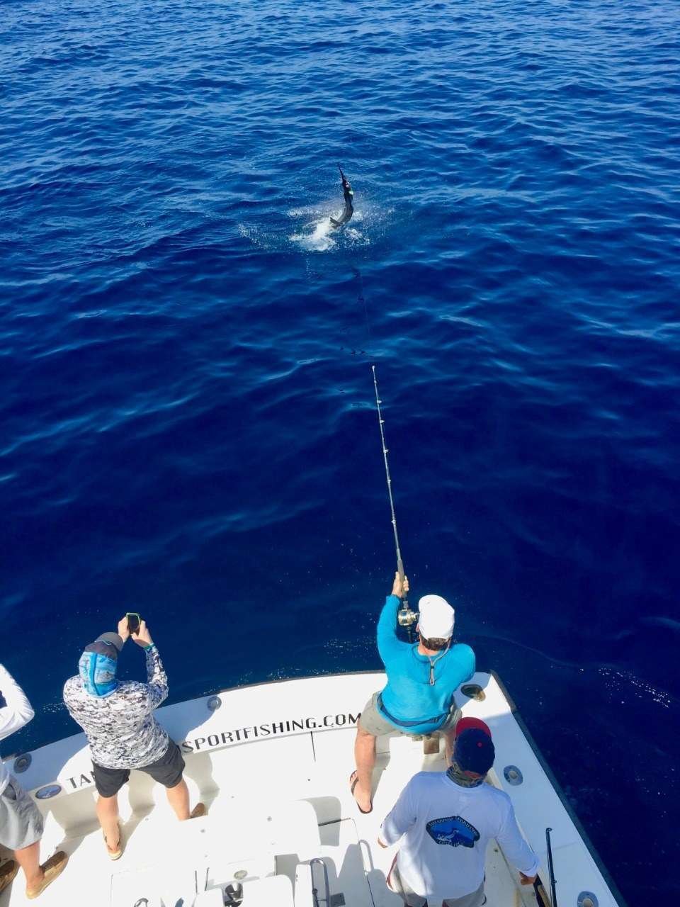 Talking Fish Tamarindo full day charter sailfish