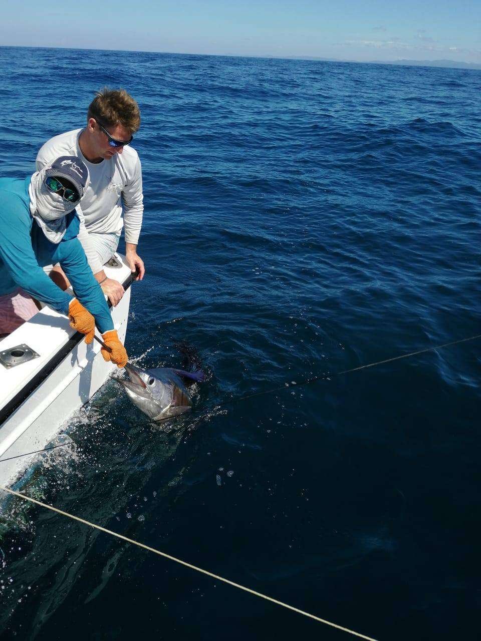 Outcast Tamarindo half day charter sailfish